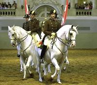 Spanish Riding School
